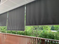 Royalgreen (D10), Condominium #577469661